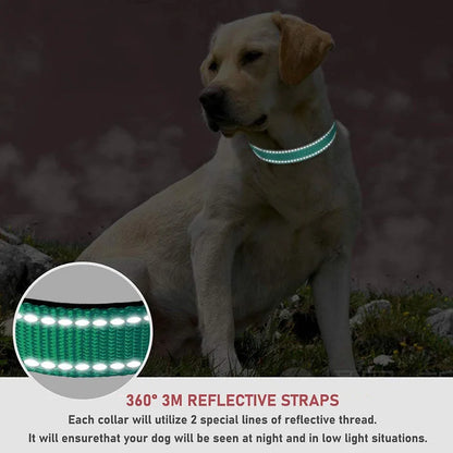 Adjustable Reflective Dog Collar – Safety Nylon Strap