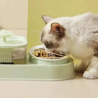 PurrFlow™ 2-in-1 Cat Water Fountain & Feede
