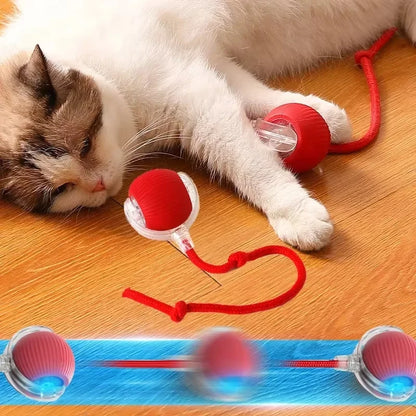 Smart Electric Rolling Dog & Cat Ball – Rechargeable Plush Mouse Toy