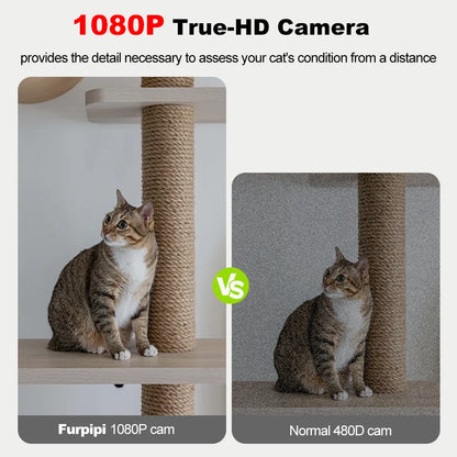 8L Smart Automatic Cat Feeder with Camera & WiFi