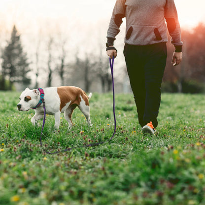 FlexiPaw™ Dual-Color Training Dog Leash (1.5M–15M)