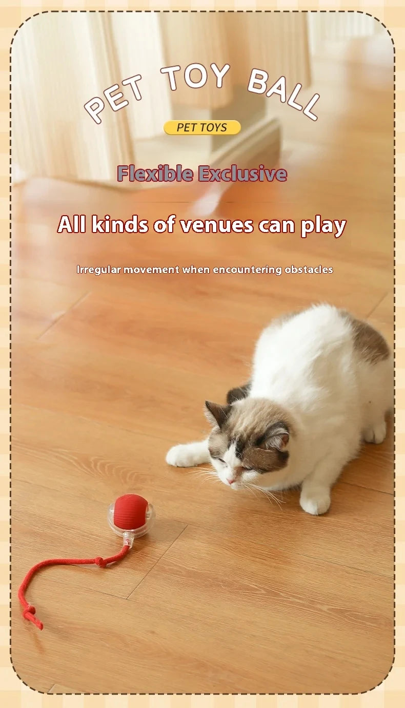 Smart Electric Rolling Dog & Cat Ball – Rechargeable Plush Mouse Toy