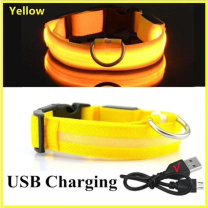 LED Glowing Dog Collar – Adjustable Flashing Night Safety
