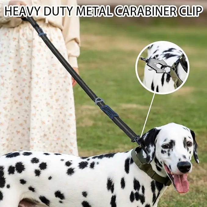TactiPaw™ Reflective Bungee No-Pull Dog Leash