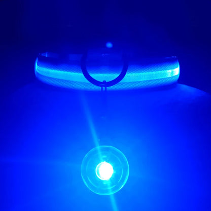 USB Rechargeable LED Dog & Cat Collar – Glowing Night Safety