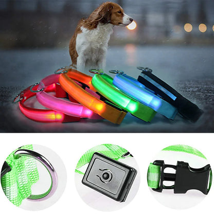 USB Rechargeable LED Dog & Cat Collar – Glowing Night Safety