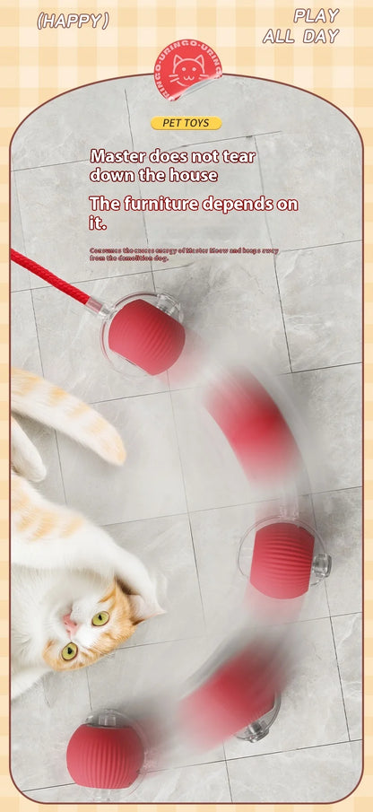 Automatic Rolling Cat & Dog Ball Toy – Rechargeable Smart Mouse