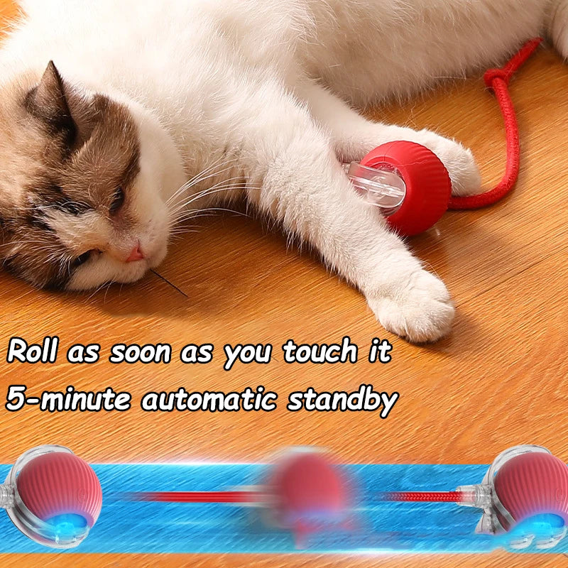 Automatic Rolling Cat & Dog Ball Toy – Rechargeable Smart Mouse