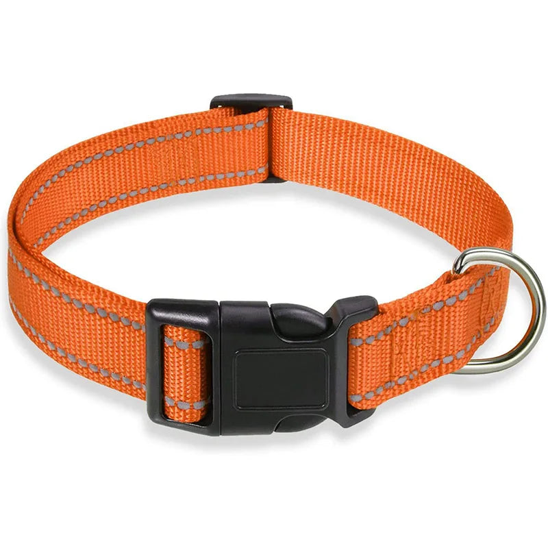 Adjustable Reflective Dog Collar – Safety Nylon Strap