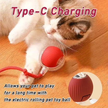 Smart Electric Rolling Dog & Cat Ball – Rechargeable Plush Mouse Toy