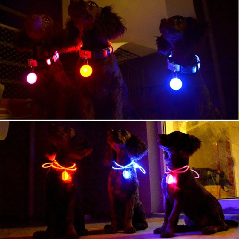 USB Rechargeable LED Dog & Cat Collar – Glowing Night Safety