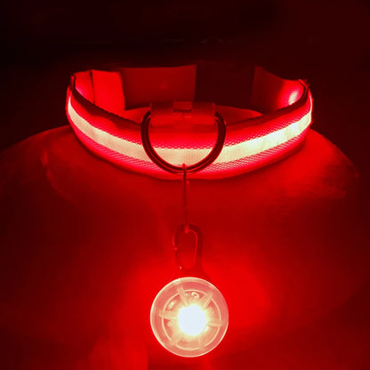 USB Rechargeable LED Dog & Cat Collar – Glowing Night Safety