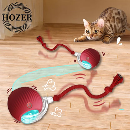 Automatic Rolling Cat & Dog Ball Toy – Rechargeable Smart Mouse