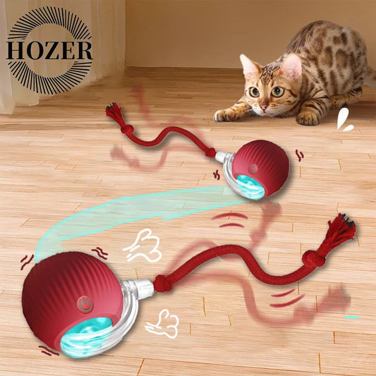 Automatic Rolling Cat & Dog Ball Toy – Rechargeable Smart Mouse