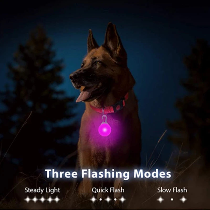 USB Rechargeable LED Dog & Cat Collar – Glowing Night Safety