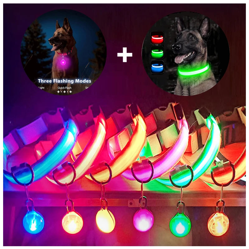 USB Rechargeable LED Dog & Cat Collar – Glowing Night Safety