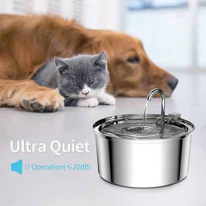 Stainless Steel Automatic Pet Water Fountain – USB Powered