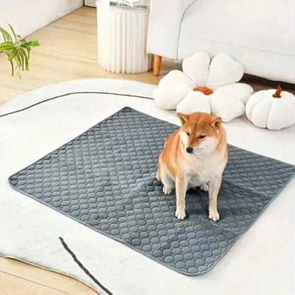 Reusable Waterproof Dog Pee Pad – Absorbent Training Mat