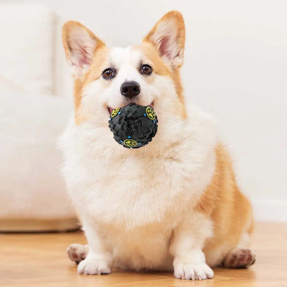 Black Molars Chew & Treat Dispensing Ball – Dog Educational Toy
