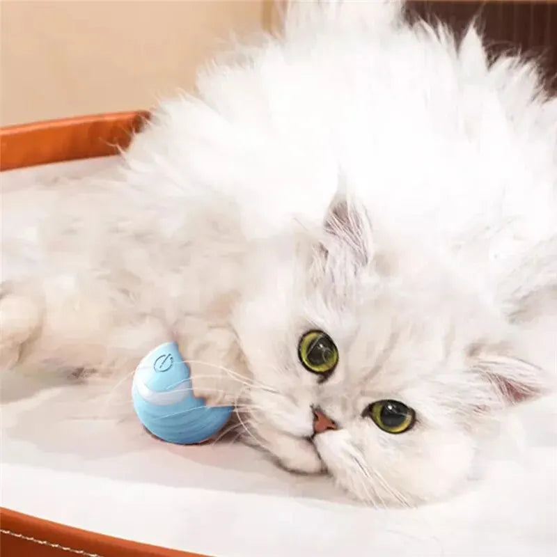 Self-Moving Electric Cat Ball – Interactive Rolling Toy