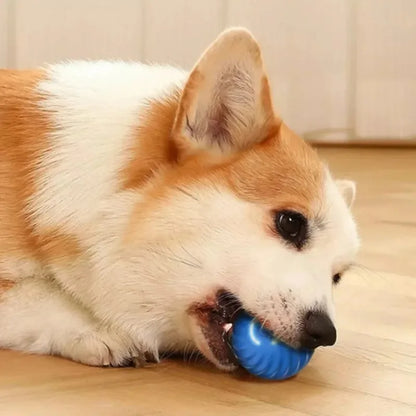 Smart Automatic Rolling Dog Ball – USB Rechargeable Interactive Toy