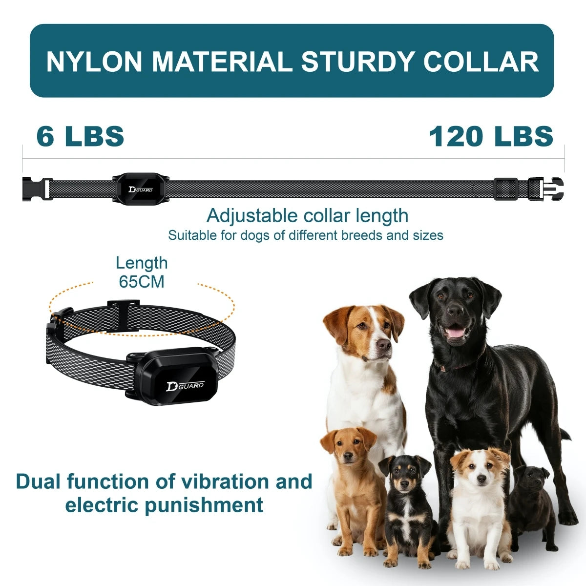Digital Dog Training Collar – 800m Range, Waterproof & Recha