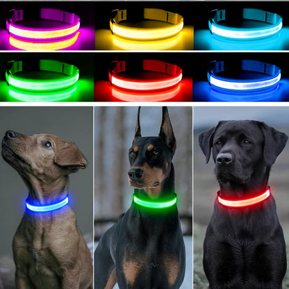 USB Rechargeable LED Dog & Cat Collar – Glowing Night Safety