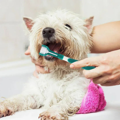 3-Sided Pet Toothbrush – Dog & Cat Dental Care