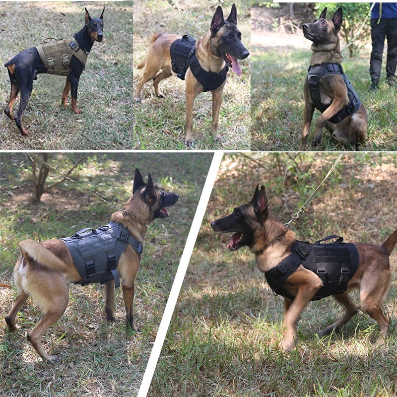 Tactical Dog Harness & Leash Set – Military Style