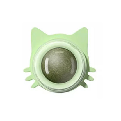 Catnip Lollipop Treat – Dental Care & Fresh Breath