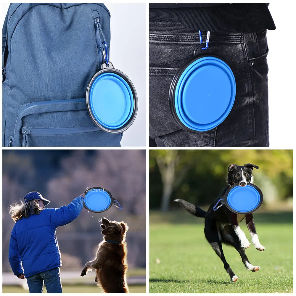 Collapsible Silicone Pet Bowl – Portable Travel Feeder
