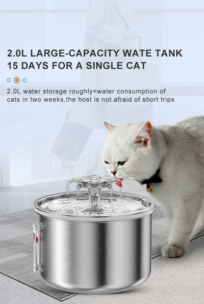 Stainless Steel Automatic Pet Water Fountain – USB Powered