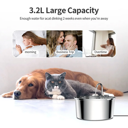 Stainless Steel Automatic Pet Water Fountain – USB Powered