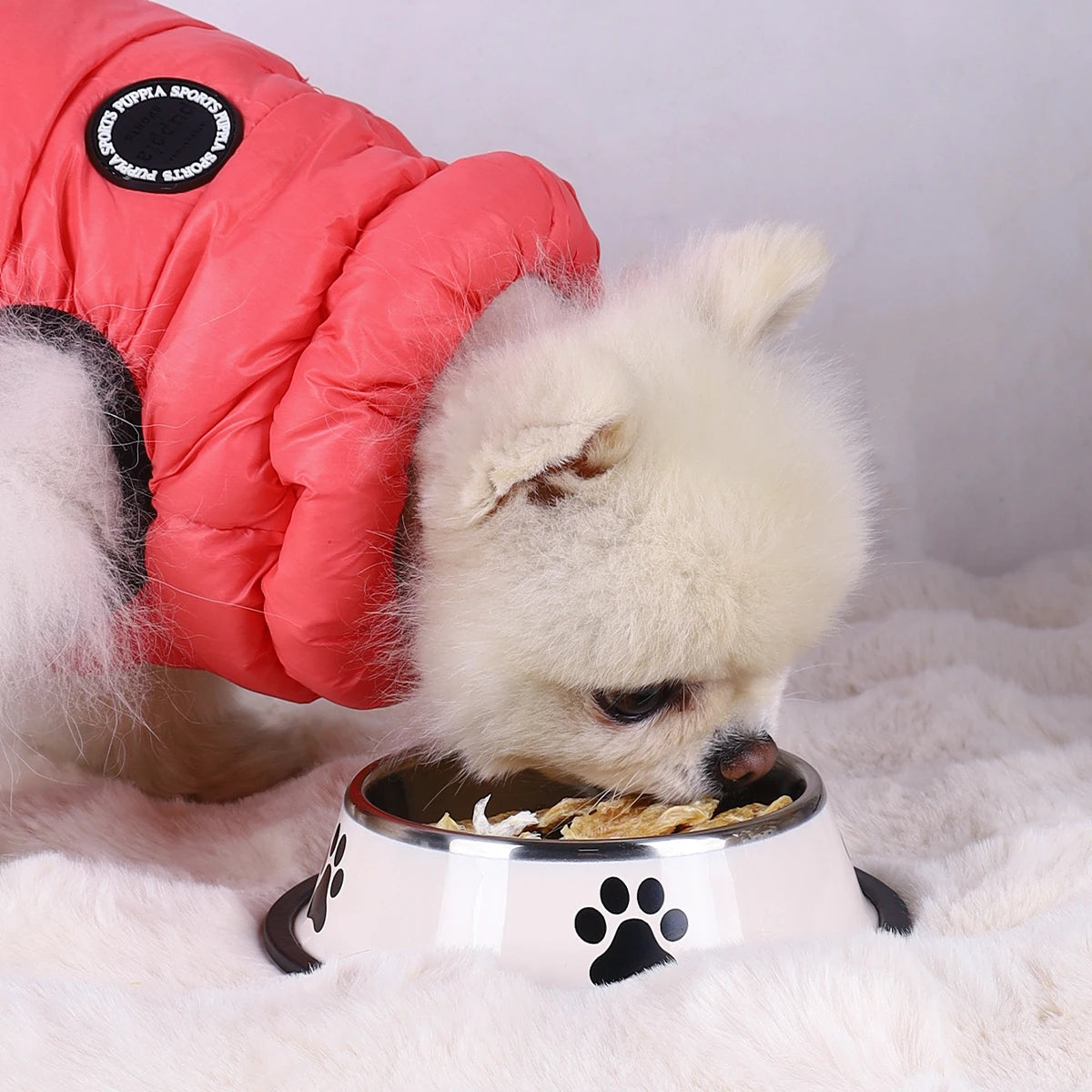 Stainless Steel Pet Food Bowl – Durable & Anti-Fall