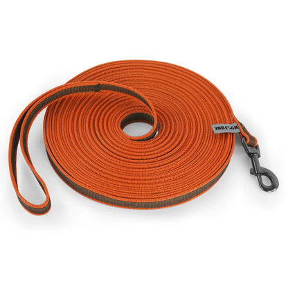 FlexiPaw™ Dual-Color Training Dog Leash (1.5M–15M)