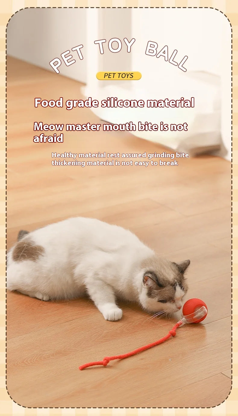 Automatic Rolling Cat & Dog Ball Toy – Rechargeable Smart Mouse