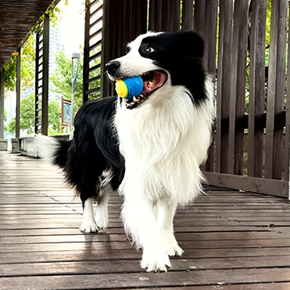 Durable Crew Ball Dog Toy – Interactive Chew & Teeth Grinder