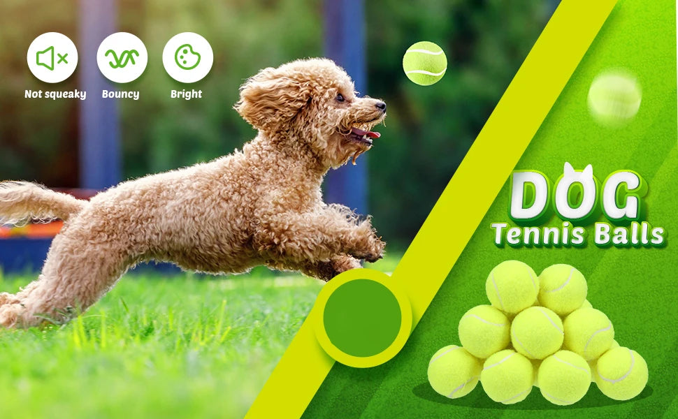 2-Inch Tennis Balls for Dogs – 12-Pack