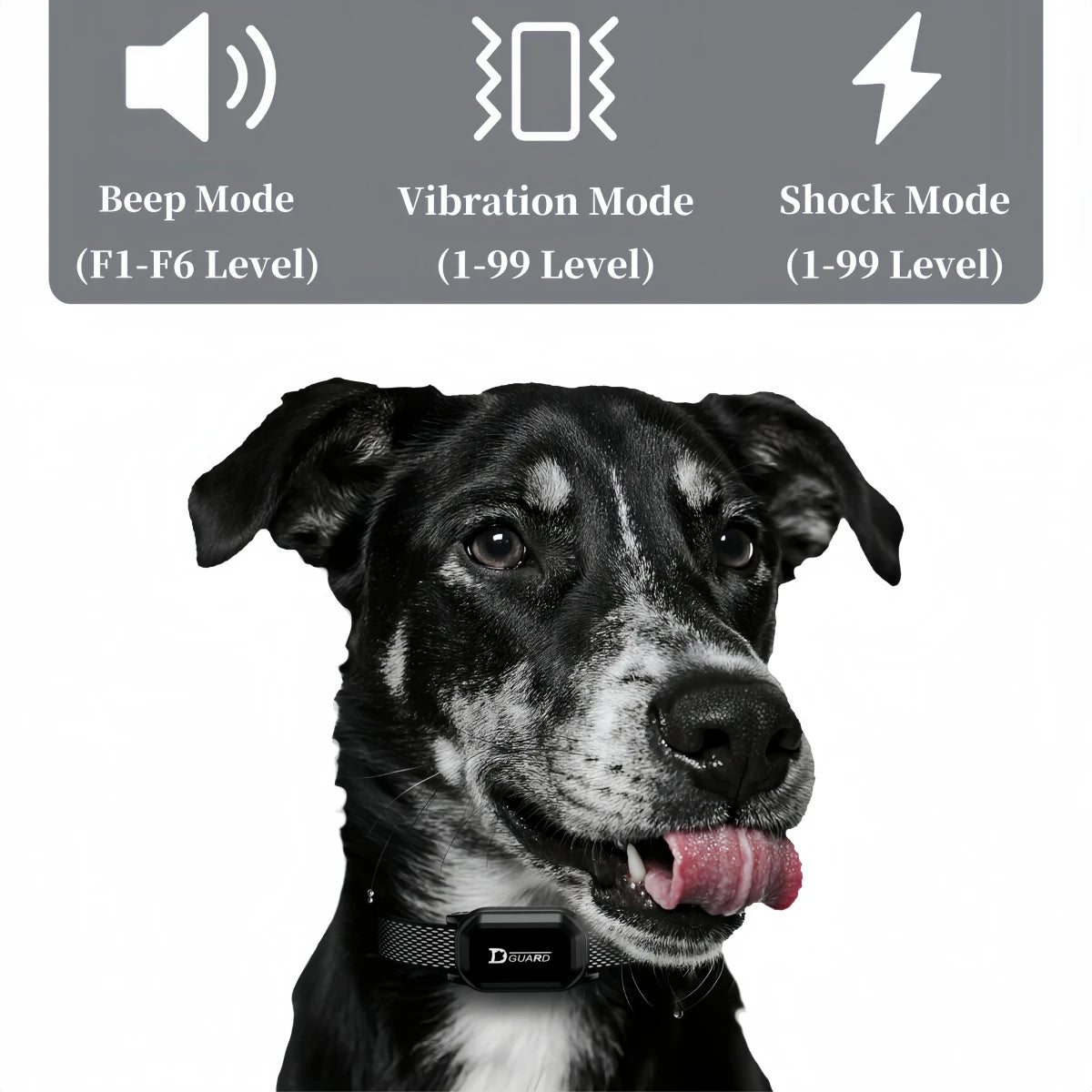Digital Dog Training Collar – 800m Range, Waterproof & Recha