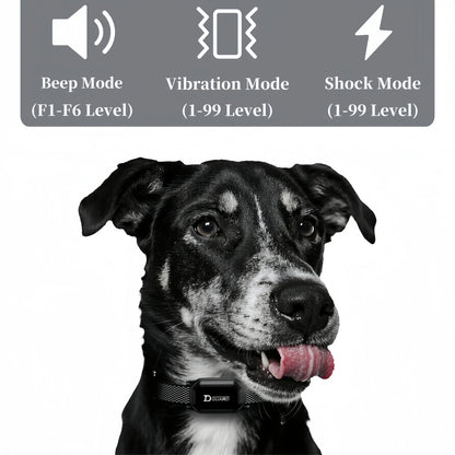Digital Dog Training Collar – 800m Range, Waterproof & Recha