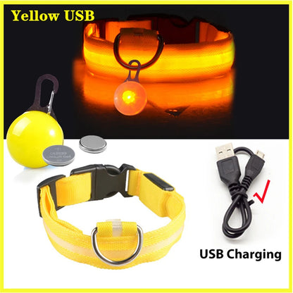 USB Rechargeable LED Dog & Cat Collar – Glowing Night Safety