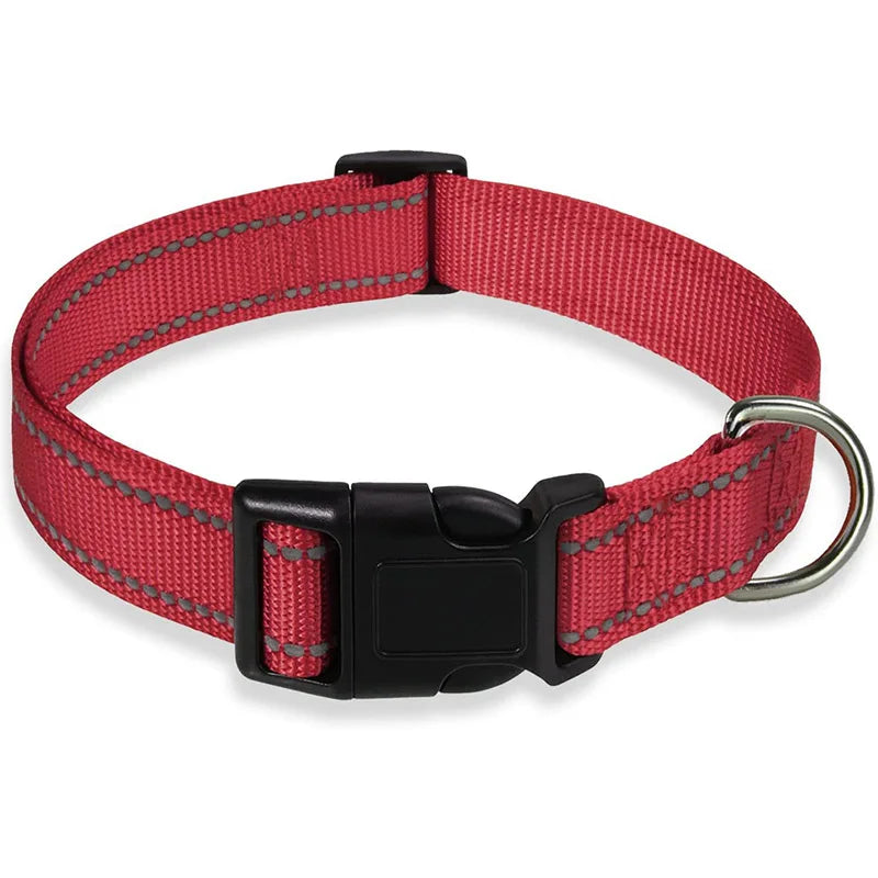 Adjustable Reflective Dog Collar – Safety Nylon Strap