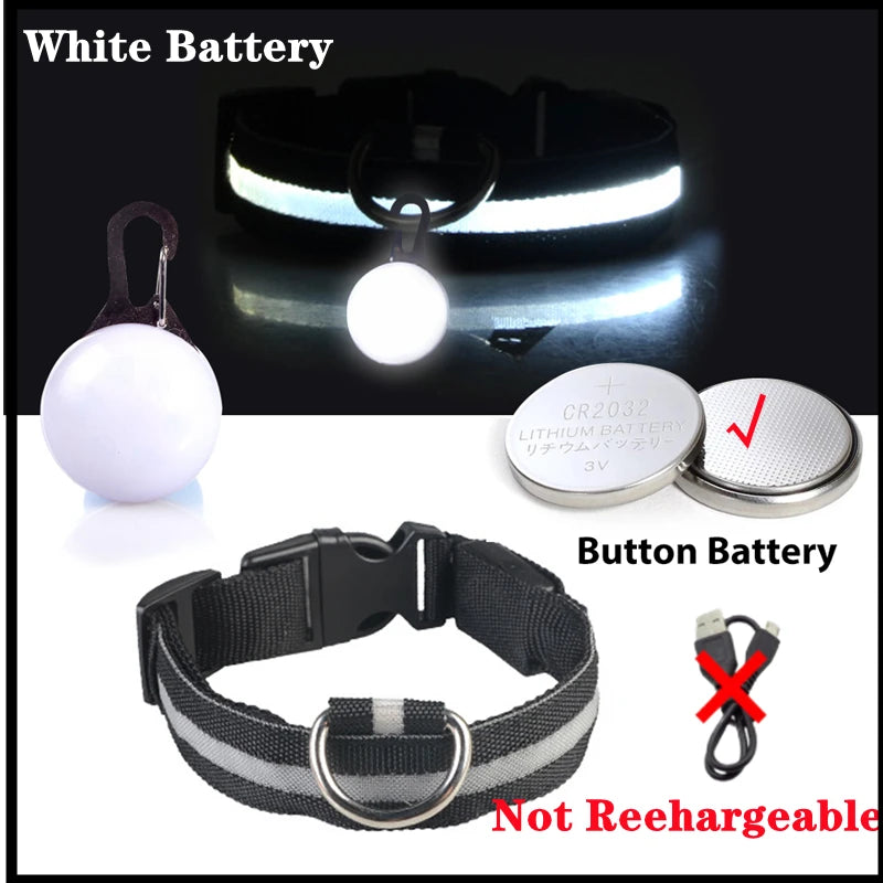USB Rechargeable LED Dog & Cat Collar – Glowing Night Safety