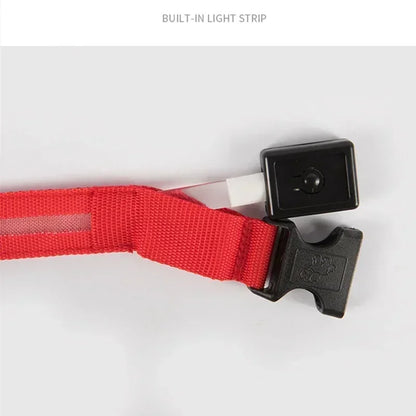 LED Glowing Dog Collar – Adjustable Flashing Night Safety