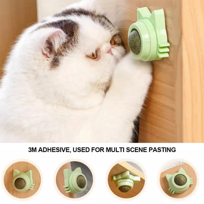Catnip Lollipop Treat – Dental Care & Fresh Breath