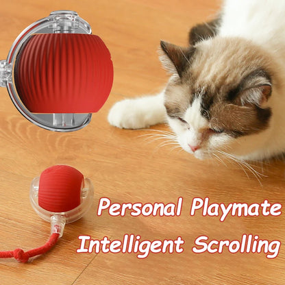 Automatic Rolling Cat & Dog Ball Toy – Rechargeable Smart Mouse