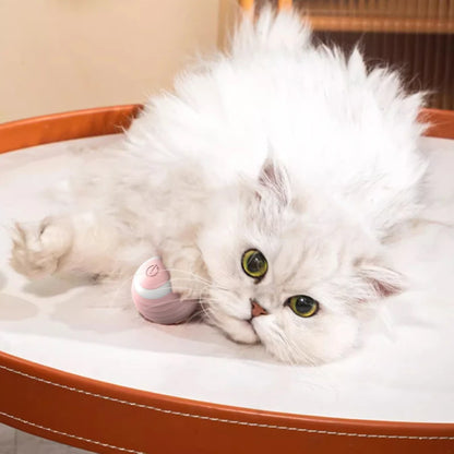 Self-Moving Electric Cat Ball – Interactive Rolling Toy