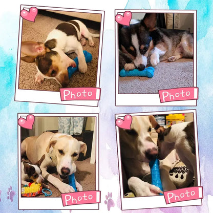 Soft Rubber Dog Chew Toy – Toothbrush & Training Stick
