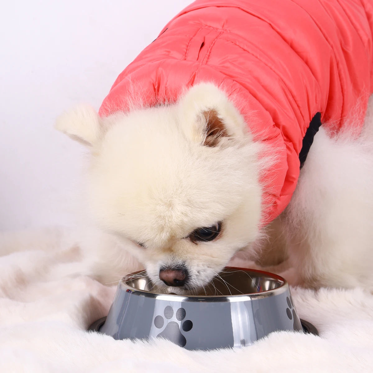 Stainless Steel Pet Food Bowl – Durable & Anti-Fall