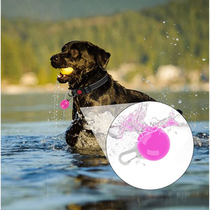 USB Rechargeable LED Dog & Cat Collar – Glowing Night Safety